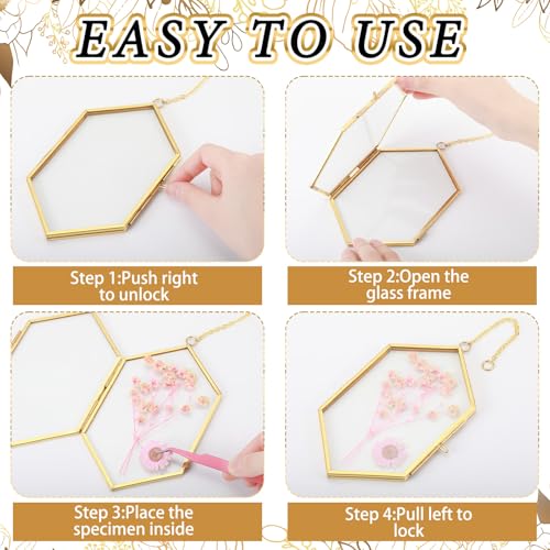 Qunclay 4 Pcs Floating Flower Frame Hanging Pressed Flower Frame DIY Hexagon Glass with Chain Double Floating Picture Geometric Wall Decor for Picture in Home Gallery Gradution