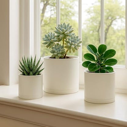D'vine Dev 3-Pack Plastic Pots & Saucers, 4/5/6 in, Oatmeal, 74-V-H-1 | Multi-Size Options, Lightweight Durable, Matte Finish, Cylinder Shape, Drainage Holes, Sleek Design, Detachable Saucer - color: Oatmeal, size: Small