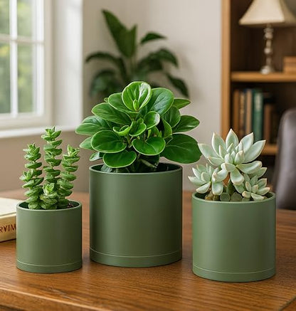 D'vine Dev 3-Pack Plastic Pots & Saucers, 4/5/6 in, Olive, 74-V-I-1 | Multi-Size Options, Lightweight Durable, Matte Finish, Cylinder Shape, Drainage Holes, Sleek Design, Detachable Saucer - color: Olive, size: Small