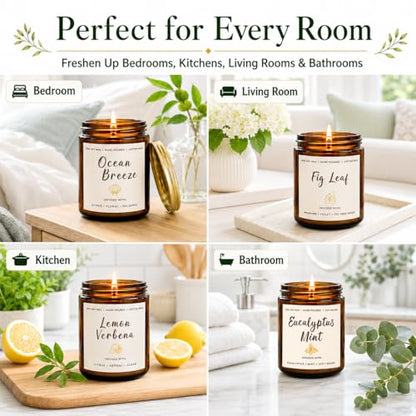 Soy Scented Candles Gift Set - 6 Pack Natural Soy Wax Long Lasting Candles | 42oz 300 Hour Candles Gift for Women Birthday Valentine, Spring Summer Aromatherapy Candles for Home Scented - color: 6 Pack Spring Summer Candles