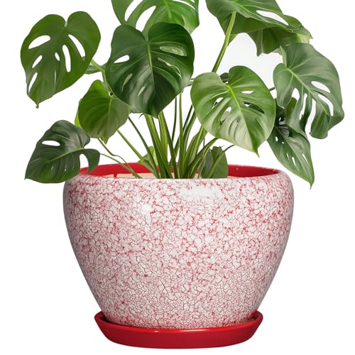 Ceramic Planter for Plants - 8 Inch Plant Pot Indoor with Drainage Hole and Tray, Round Flower Pots for Indoor Outdoor, Modern Planter, Home Decor, Gifts for Plant Lovers, Crackle Red - color: Crackle Red, size: 8 Inch