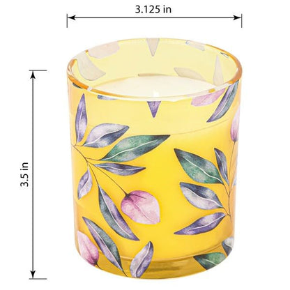 Indulgent Fragranced Candle Set, Fragrance Blended Soy Wax, Decorative Glass Jars, 6 Pack 7 oz Each
