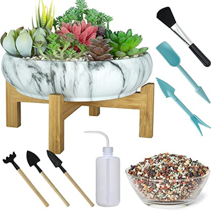Succulent Pots, 10 Inch Large Bonsai Pots with Drainage, Ceramic Planters | Shallow Pots for Cactus Flower Plants Plus Succulent Planting Tools Set & 2.2lb Mix Pebbles - color: White&black With Tools