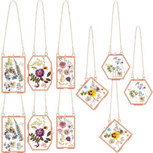 BBTO 10 Pcs Glass Frame for Pressed Flowers 5 Different Shapes Brass Hanging Picture Frame with Chain Pressed Flower Glass Photo Frames for Artwork Frame Home Wall Decor Plant Specimen (Rose Gold) - color: Rose Gold