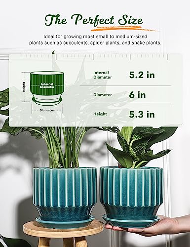Plant Pots 6 inch Ceramic Pots for Indoor Plants Set of 2 Flower Pots Unique Crackle Glaze Design Plant Pots with Drainage Hole and Saucer Come with Drainage Nets (Aqua Green) - color: Aqua Green