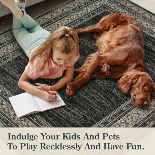 Modern Solid Area Rug 5x7 Washable Non Slip Neutral Rugs for Living Room, Non-Shedding Stain Resistant Bordered Throw Carpet, Neutral Foldable Floor Rugs for Bedroom Dining Table, Black | Non Slip Neutral Border Non Shedding Stain Resistant Low Pile Folda