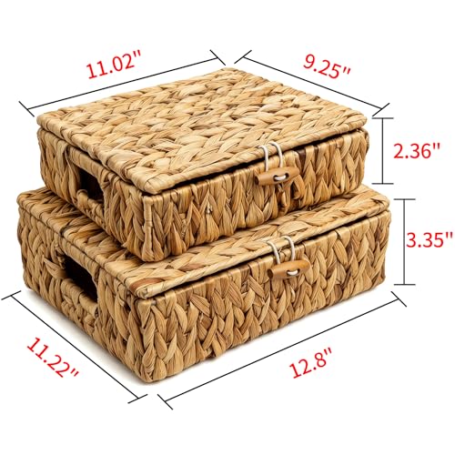 Small Wicker Storage Basket with Lid 2-Pack, Water Hyacinth Woven Baskets | Dustproof design with cover, Natural materials, Handwoven, Built-in handle, Living room, bedroom, utility room, vanity - color: Natural color