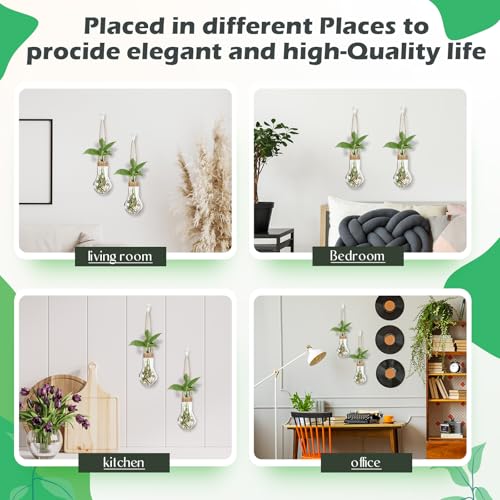 12 Pack Hanging Plant Propagation Stations 3.9 Inch Plastic Propagation Vases with Hooks and Cleaning Brush Clear Window Wall Jars for Home, Office, Bathroom Decor, Gift for Plant Lovers