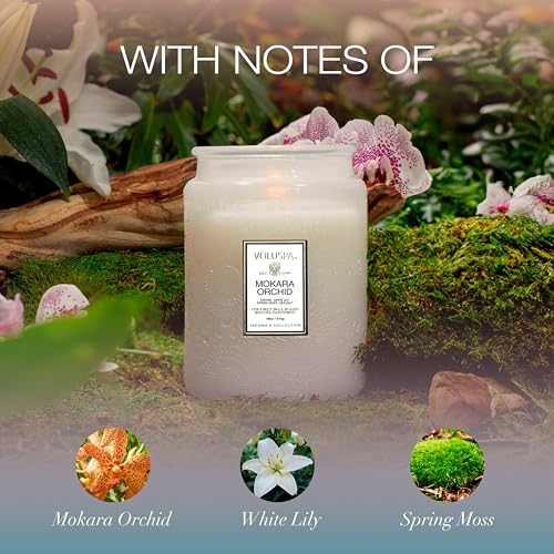 Voluspa Mokara Orchid Large Scented Candle Jar 18 Oz, 100 Hr Burn | Vegan Coconut Wax Blend With Natural Wick, USA Poured Gift for Hosts, Fragrance Lovers, Relaxed Rooms & Daily Ambience Use - color: 7 - Mokara Orchid