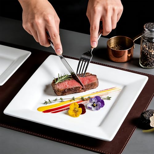Dinner Plates, 9.8 Inch Square Dessert Plates, Ceramic Serving Plate for Salad, Pasta, Steak,Snacks, Set of 4 - size: Square