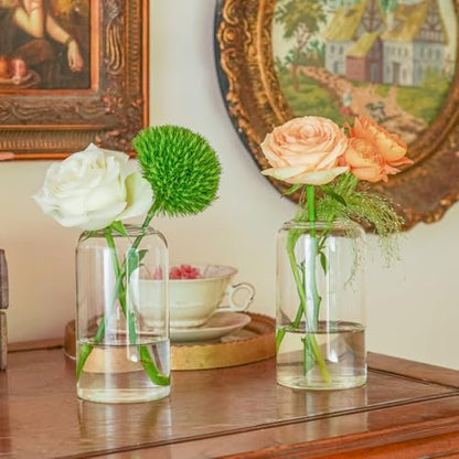 12pcs Glass Bud Vases - 5 Inch Tall Clear Flower Vases for Centerpieces, Glass Vase Modern Bud Vase for Wedding Party Dining Table Centerpieces, Living Room Decorative, Home Decor - size: 12 Pcs 5 Inch