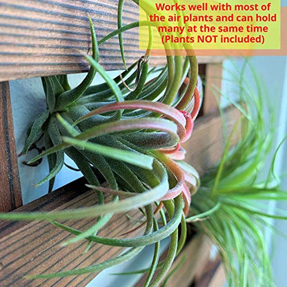 ShopLaLa Wooden Wall Planter (120cm) Wood Hanging Planters for Indoor Plant | Vertical Garden, Plant Wall Mount Planter, Air Plant Succulent Holder for Flower Pot Display Hanger Frame Outdoor Plants - size: 120cm (47.2")