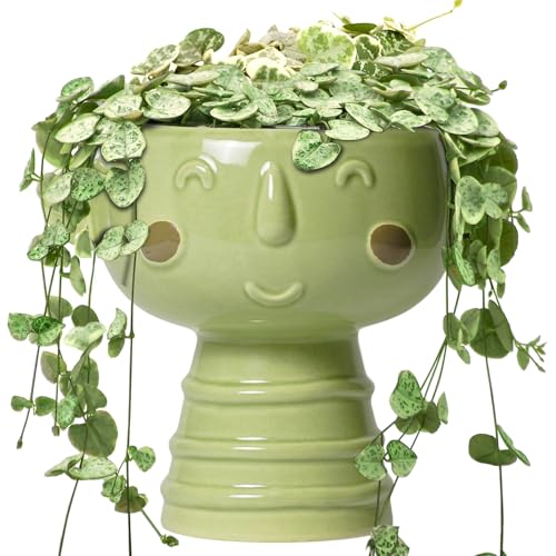 Face Planter Pots Head - 7 Inch Ceramic Succulent Plant Pots with Drainage Hole, Cute Head Planters for Indoor Outdoor Plants, Room Desk Office Decor, Plant Lover Gifts, Green - color: Green-boy