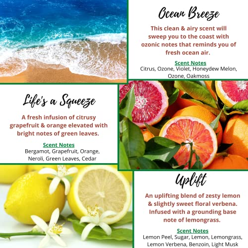 Fresh Clean Scent Wax Melts Wax Cubes - Spring Summer Scented Wax Melt Variety Pack for Wax Warmers - Kermode Natural Aromatherapy Fragrance - Long Lasting Bulk Assorted Safe Melting Soy Tarts