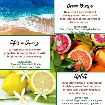 Fresh Clean Scent Wax Melts Wax Cubes - Spring Summer Scented Wax Melt Variety Pack for Wax Warmers - Kermode Natural Aromatherapy Fragrance - Long Lasting Bulk Assorted Safe Melting Soy Tarts