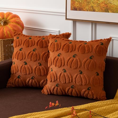 Kevin Textile Pumpkin Fall Decorative Throw Pillow Covers 18x18 Inch Set of 2 Soft Faux Fur Pillow Covers for Autumn Harvest Fluffy Plush Accent Pillow Cases for Halloween Thanksgiving Gifts Brown - color: Brown, size: 18" x 18" (Pack of 2)