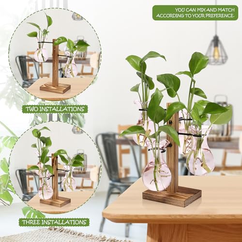 Plants Propagation Stations Bulb Glass Propagation Birthday Gift for Women | Garden Plant Lovers - 4 Bulb - color: Pink