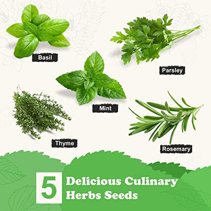 Meekear 5 Herb Seeds Garden Starter Kit with Complete Planting Kit & Wooden Flower Box, Growing into Basil, Parsley, Rosemary, Thyme, Mint for Kitchen Windowsill Herb Garden DIY