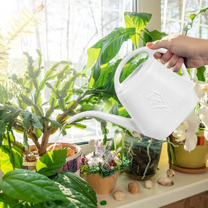ZXJ Plant Watering Can - for Indoor and Outdoor Home Garden Plants - with Long Spout - White - 1/2 Gallon - color: White