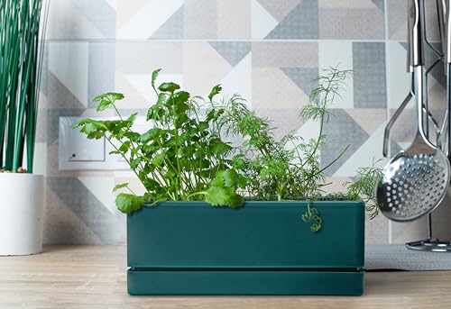 D'vine Dev Rectangular Planter, 12 x 4.5 in, Green, Set of 1, 76-X-C-1 | Minimalist Design, Large Planting Capacity, Drainage Holes & Saucer, Thick-Walled Durable Build, Ideal for Windowsills - color: Green