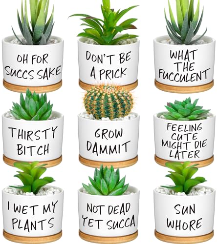 9 Pcs Funny Succulent Pots Ceramic Planters Bamboo Tray,Funny | Cute Aloe Cactus Planters with Drainage, White Mini Pots for Indoor Desk Decor, Birthday Housewarming Gifts for Women