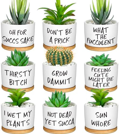 9 Pcs Funny Succulent Pots Ceramic Planters Bamboo Tray,Funny | Cute Aloe Cactus Planters with Drainage, White Mini Pots for Indoor Desk Decor, Birthday Housewarming Gifts for Women