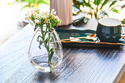 Kingbuy Egg Shaped for Propagating Hydroponic Plants 4 Pack Wall Planter | Borosilicate glass, clear & durable. Egg-shaped wall-mounted vases. Ideal for hydroponics, air plants, cuttings. Great gift. - color: Ellipse Shape