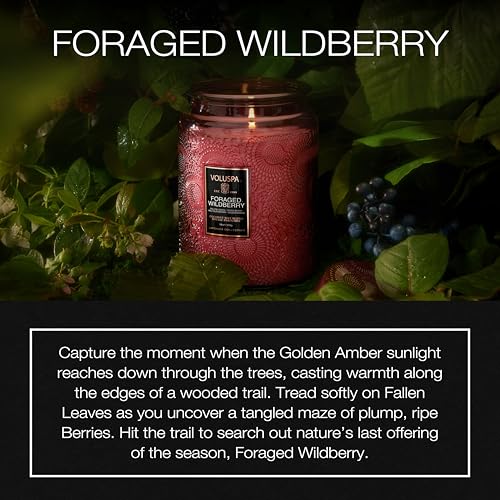 Voluspa Foraged Wildberry Large Jar Candle, 18 oz, Coconut Wax Blend, Berry Scented Candle for Home, 100 Hour Burn Time, Handcrafted in the USA - color: 18 - Foraged Wildberry