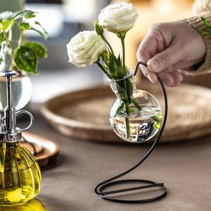 Desktop Glass Plant Propagation Station with Metal Stand,Tabletop Plant Terrarium,Hydroponics Vase for Propagating Hydroponic Office Garden Home Decor, for Weddings, Centerpieces (4)
