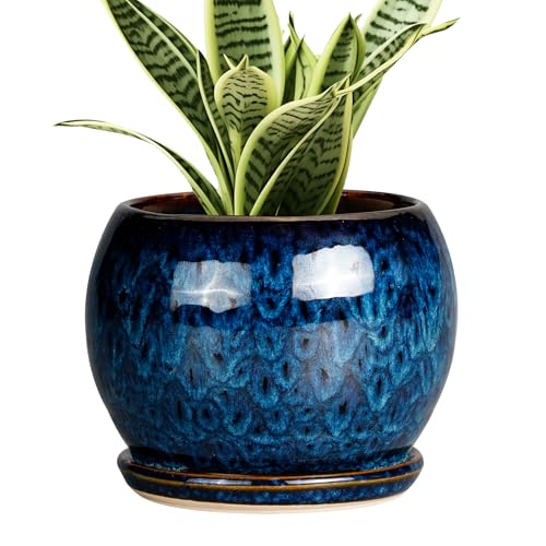 SQOWL 6 Inch Plant Pot - Ceramic Planter Pot with Drainage Hole and Saucer, Succulent Pot Round Flower Pot for Indoor Plants Outdoor, Blue - color: Blue, size: 6 Inch