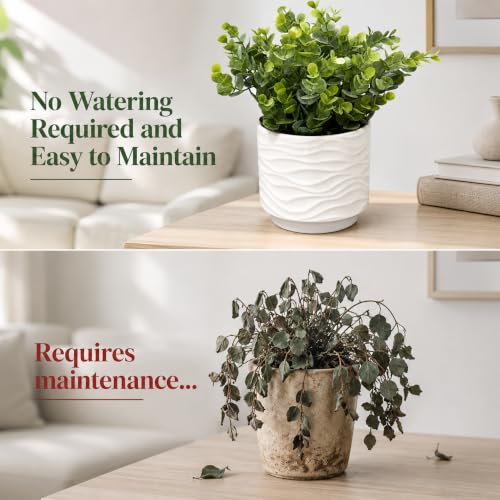 Artificial Eucalyptus Plant, 11" Faux Greenery in Ceramic Pot | Realistic leaves, ceramic pot, for shelf, desk, bathroom, office, bedroom, and living room decor