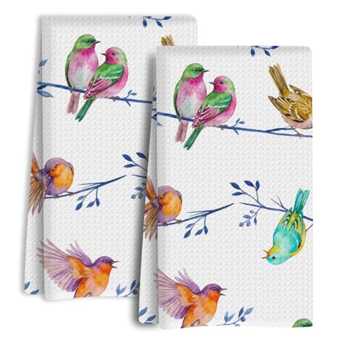 Watercolor Bird Kitchen Towels Set of 2, Dish Towels for Kitchen Soft Absorbent Tea Hand Towel for Home Dining Room Apartment Cooking, Baking, Decorative Vibrant Pastel Bird Design, 13.8 x 23.6 Inch - color: Birds 1453