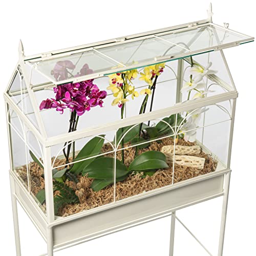 H Potter Freestanding Wardian Case Terrarium, Large | Metal and Glass, Indoor Greenhouse Display Cabinet, Victorian Plant Stand, Gable Roof, 48 Inch Tall - size: Large