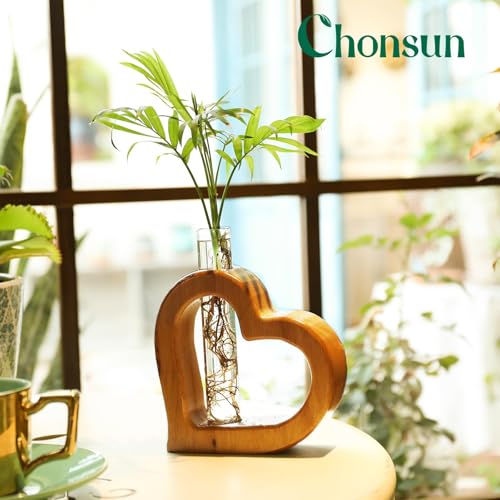 Glass Test Tube Plant Propagation Station Wooden Terrarium Holder | Wall Hanging for Indoor Water Plant Rooting, Wall Home Decor, Thoughtful Gardening Gift for Mom and Plant-Loving Women - size: 5.3*5.3IN