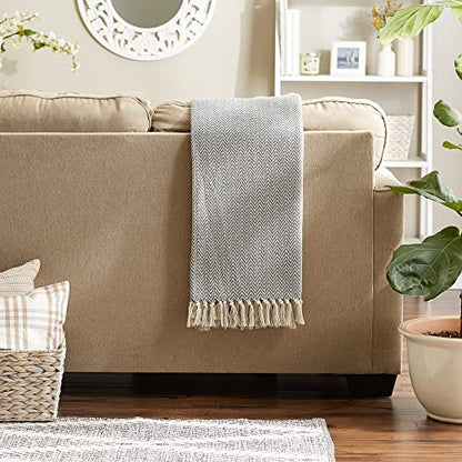 DII Chevron Throw Collection Handloomed Cotton, 50x60, Gray - color: Gray, size: 50x60"
