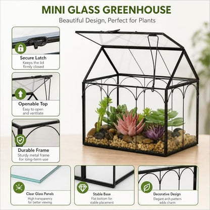 FerrisIsland Glass Plant Wardrobe Indoor Small Succulent Aquarium | FerrisIsland glass plant small succulent aquarium with desktop decoration DIY door (6 in long x 4.3 in wide x 6.3 in high) - size: 6" L x 4.3" W x 6.3" H