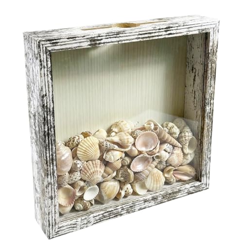 Ticket Shadow Box 8×8 Top Loading Display Case Frame with Top Slot on Top, for Wedding Photos,Baby Keepsakes,Sporting Events Ticket Stubs Beer Caps Movie Trave and Memory Keepsakes Box - color: Rustic White, size: 8×8