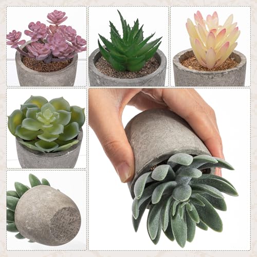 Set of 6 Artificial Succulents Potted - Realistic Mini Fake Cactus Plants in Paper Pulp Pots, 2-4'' Mixed Sizes for Farmhouse Shelf, Bathroom, Coatrack Shelf, Bedroom Indoor(Classic Style) - style: Classic Style