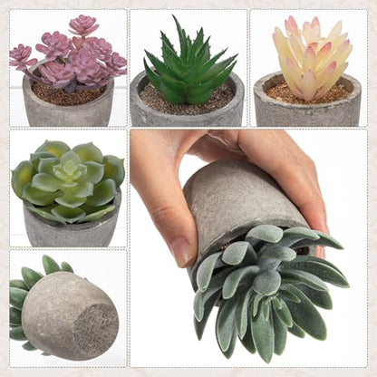 Set of 6 Artificial Succulents Potted - Realistic Mini Fake Cactus Plants in Paper Pulp Pots, 2-4'' Mixed Sizes for Farmhouse Shelf, Bathroom, Coatrack Shelf, Bedroom Indoor(Classic Style) - style: Classic Style