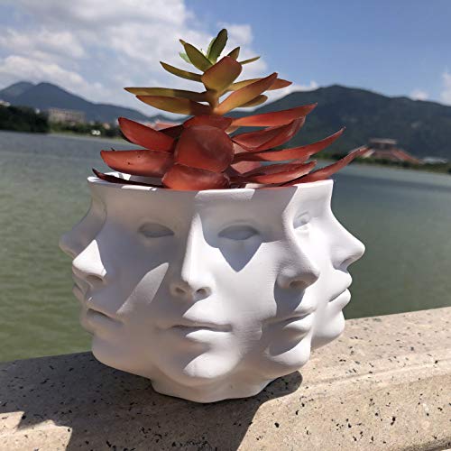 Resin Multi-Face Head Planter, Indoor Succulent Decor | Multi-face design, sturdy & durable. Succulent & cactus container, creative home accent, unique gift choice.