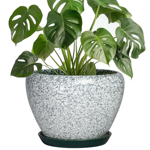 Ceramic Flower Pot, 8 Inch, Crackle Green | Round, Drainage Hole and Saucer, Indoor Outdoor, Modern Decorative - color: Crackle Green, size: 8 Inch