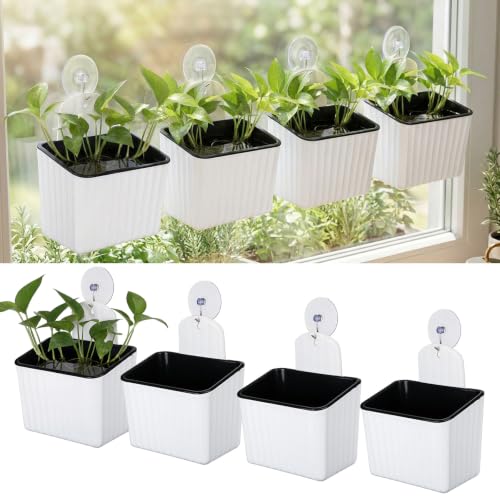 Hushee 4 Set Window Hanging Propagation Stations with Suction Cups Plastic Propagation Vases Propagated Plant Holder Wall Pots for Indoor Plants Office Home Garden Decoration Lover Gift (White) - style: White