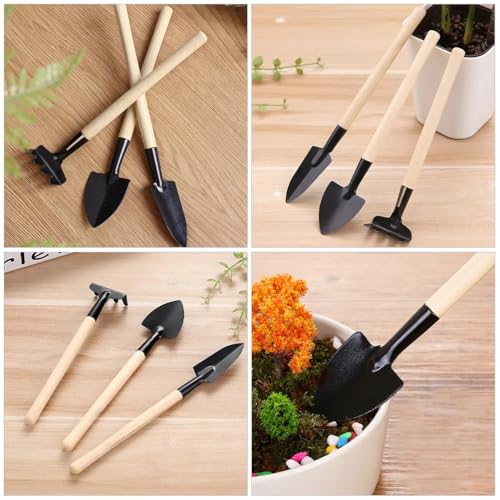 13-Piece Succulent Tool Set - Mini Gardening Kit with Stainless Steel Tweezers, Scissors, Shovel, Rake & Brush for Bonsai, Cactus, and Indoor Plant Care