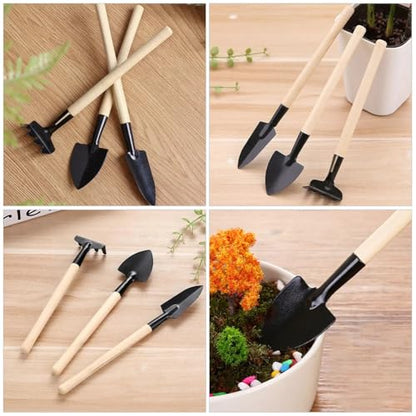 13-Piece Succulent Tool Set - Mini Gardening Kit with Stainless Steel Tweezers, Scissors, Shovel, Rake & Brush for Bonsai, Cactus, and Indoor Plant Care