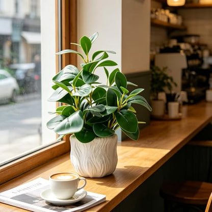 14" Artificial Potted Plant with Thick Leaves in White Textured Pot | Realistic Thick Leaves , Compact Desk & Shelf Plant , White Textured Decorative Pot , Modern Home & Office Decor