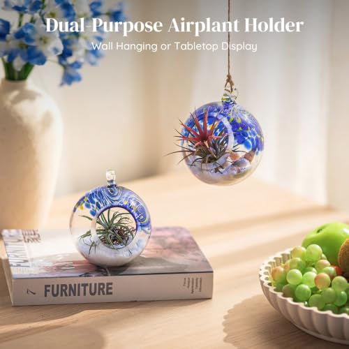 Glasseam Hanging Glass Plant Terrarium: 3Pcs Hanging Airplant Fern Holders | 4 Inch Thick Handmade Planter Hanger Globe for Tillandsia Succulent Moss, Indoor Wall Window Decor Gift for Plant Lovers
