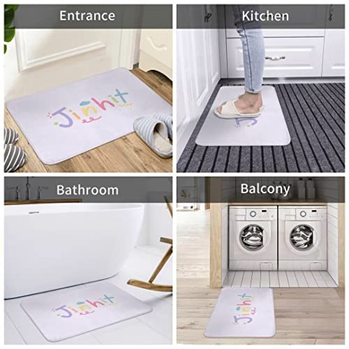 Funny Non Slip Entrance Floor Mat - 16x24 Inch Indoor Decorative Doormat