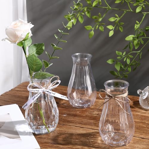Set of 12 Pcs Small Plastic Bud Vases in Bulk with Gift Wrapping Ribbon, Vases for Flower, Wedding Centerpieces for Home Decor, Living Room, Office Decoration, Housewarming Party Gift (Clear)