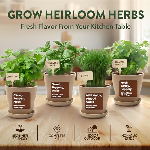HOME GROWN Herb Garden Planter Indoor Kit – Unique Christmas Gift for Adults, Men, & Women - Grow 4 Heirloom Herb Seeds on Kitchen Window – Beginner DIY Craft & Hobby Gardening Gift for Plant Lovers - style: Starter Herb Grow Kit