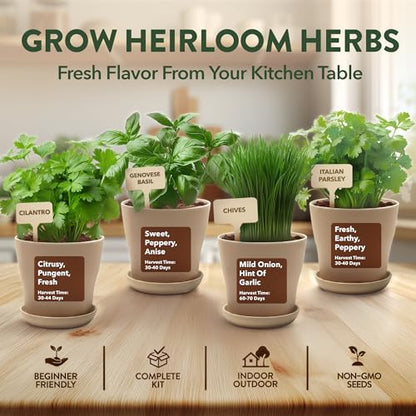 HOME GROWN Herb Garden Planter Indoor Kit – Unique Christmas Gift for Adults, Men, & Women - Grow 4 Heirloom Herb Seeds on Kitchen Window – Beginner DIY Craft & Hobby Gardening Gift for Plant Lovers - style: Starter Herb Grow Kit